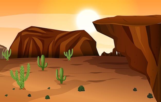 Scene with cactus in the desert