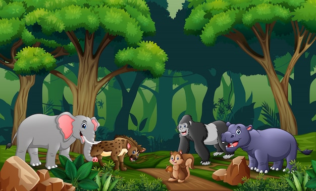 Scene with many animals in the forest