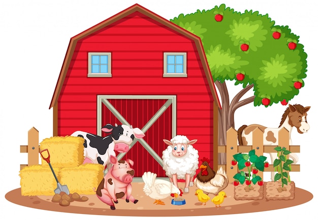 Scene with many farm animals on the farm