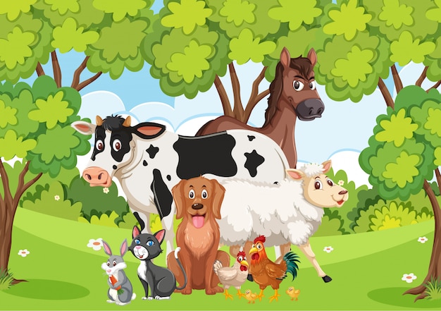 Scene with many wild animals in the forest