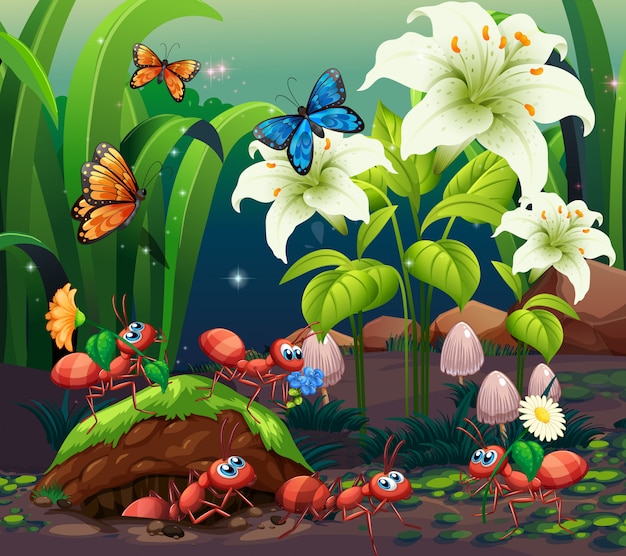 Scene with plants and insects in the garden