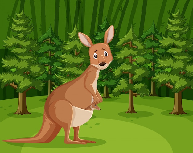 Scene with sad kangaroo in the big forest