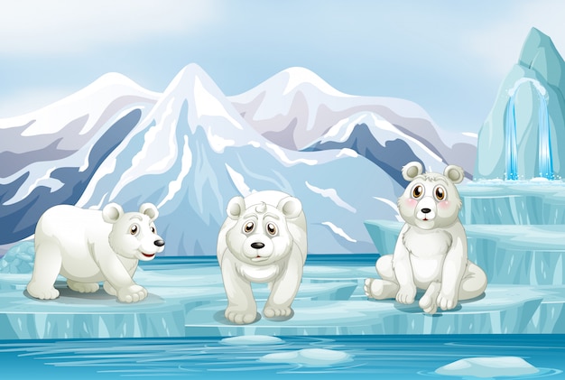 Scene with three polar bears on ice