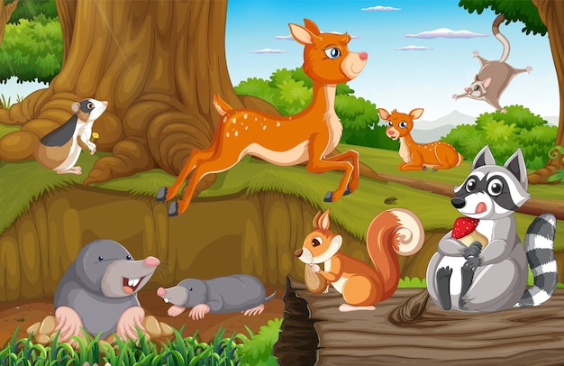 Scene with wild animals in the forest