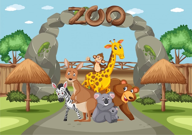 Vector scene with wild animals in the zoo at day time