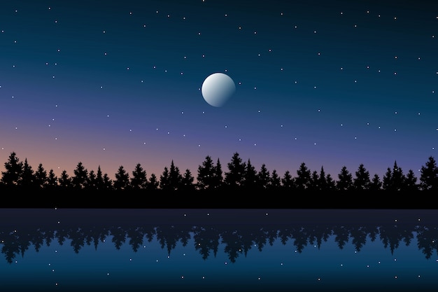 Scenery starry night with pine forest background