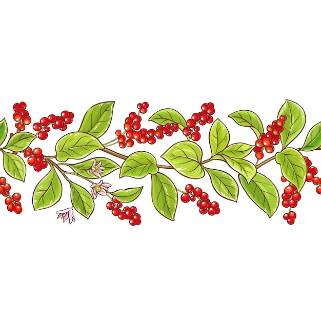 Schisandra branch vector pattern