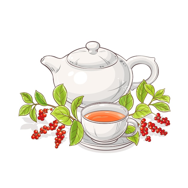 schisandra tea in teapot illustration