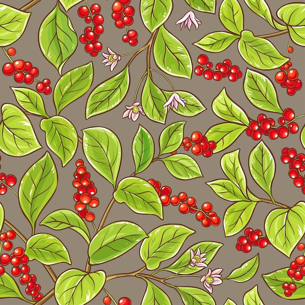 Schisandra vector pattern