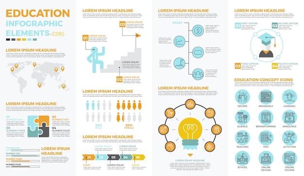 School education infographic elements