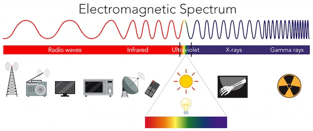 Vector science electromagnetic spectrum diagram