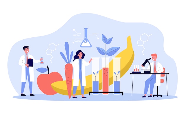 Vector scientists growing plants in lab, cultivating genetic modified vegetables and fruits, doing research.  illustration for biology, artificial food, agriculture concept