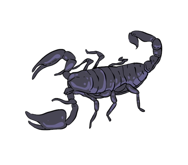 scorpion doodle . scorpion 