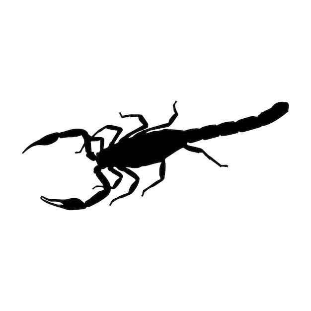 Vector scorpion silhouette set collection isolated black on white background vector illustration