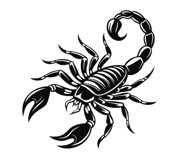 scorpion silhouette vector illustration