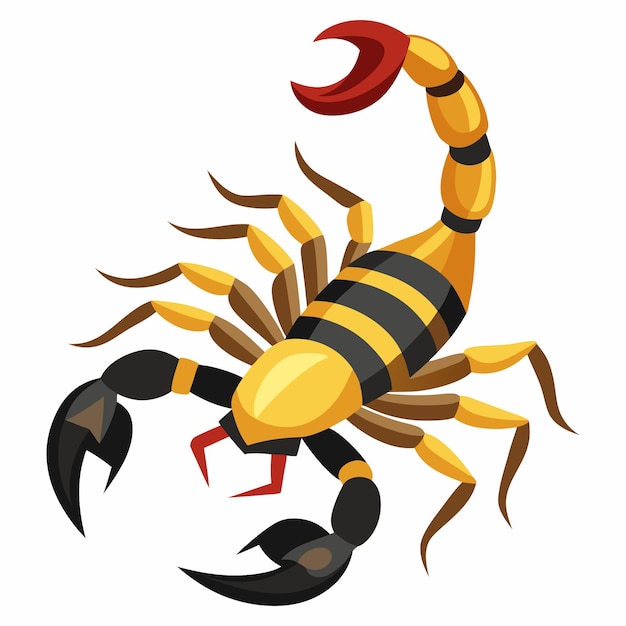 Vector scorpion vector illustration