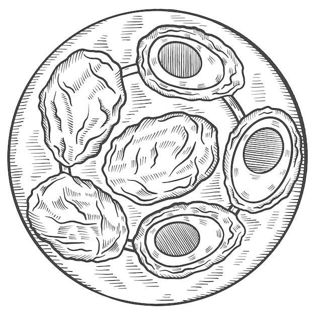 Vector scotch egg british or england food cuisine isolated doodle hand drawn sketch with outline style