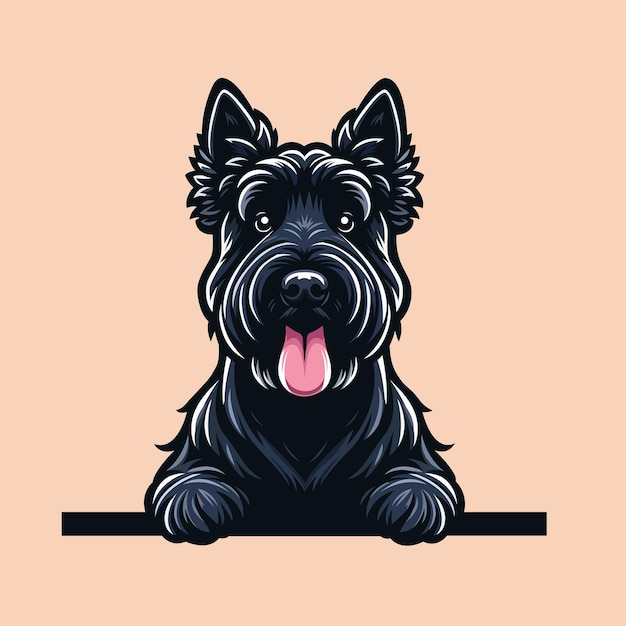 Scottish Terrier dog peeking face illustration isolated