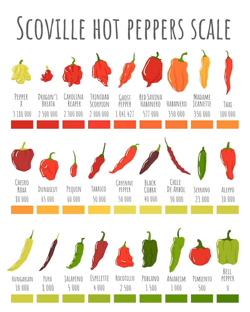 Scoville hot peppers scale Hot pepper chart spicy level and scovilles heat units poster vector illustration