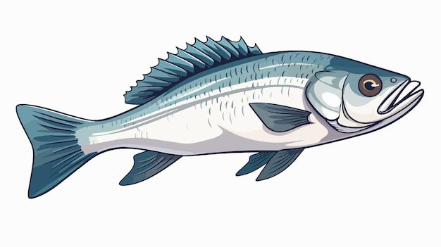 Sea Bass Clipart Isolated Vector Illustration