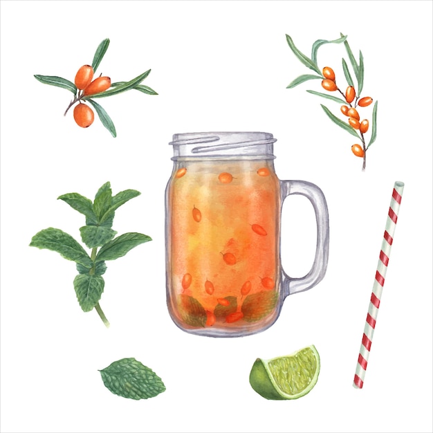 Sea buckthorn mint lime slice straw glass jar Sandthorn citrus peppermint for warming drink