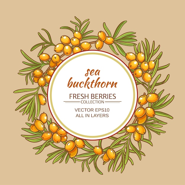 Sea buckthorn vector frame