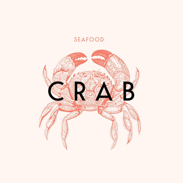 The sea crab is drawn in the style of an engraving on a light background. Seafood. Vector