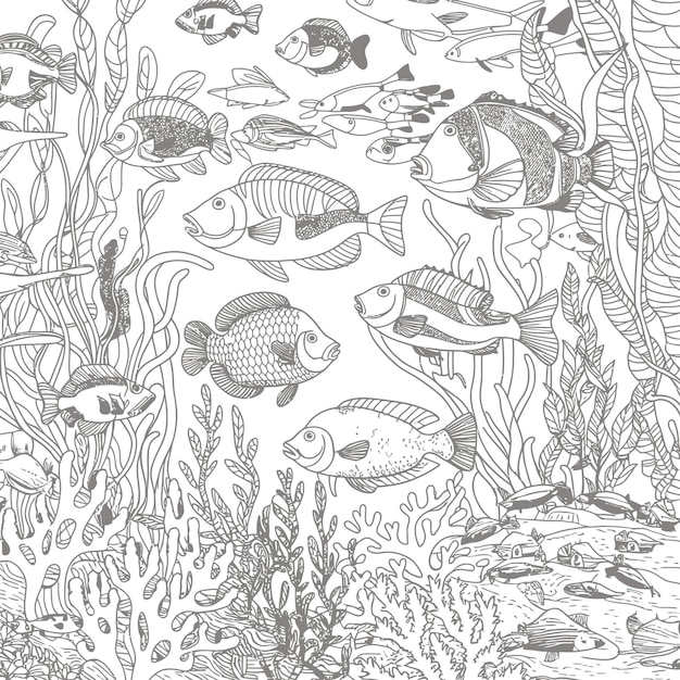 Vector sea creatures line art for adults coloring book