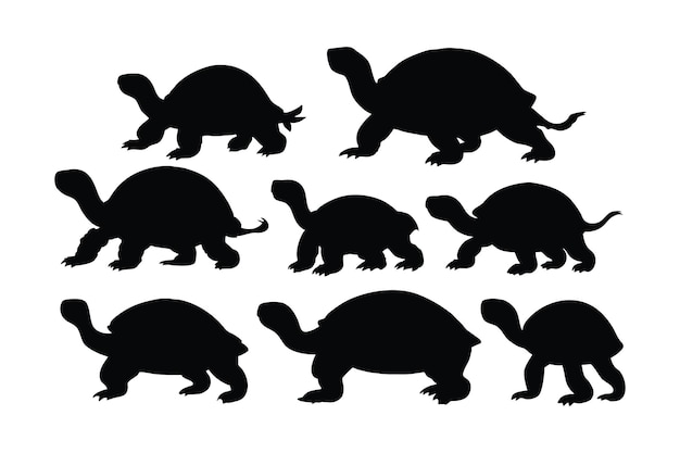 Sea creatures and reptiles like turtles swimming in different positions Tortoise full body silhouette collection Wild turtle silhouettes on a white background Beautiful turtle silhouette bundle