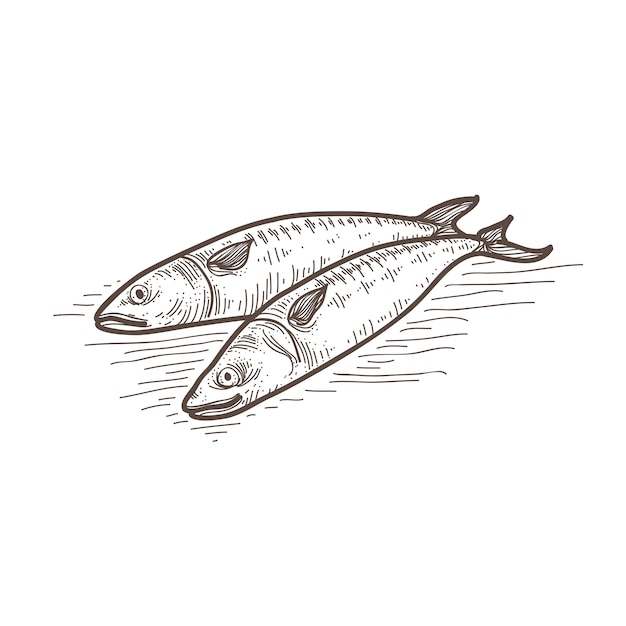 sea fish illustration