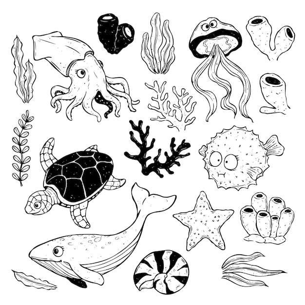 Sea life collection hand drawn Vector ocean creatures with squid turtle whale jellyfish