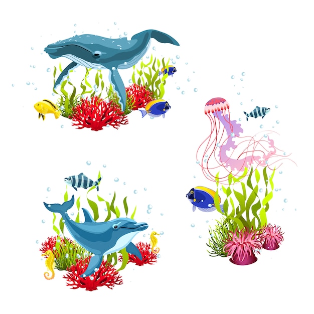 Sea life compositions