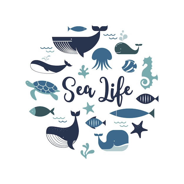 Sea life whales dolphins icons and illustrations poster design