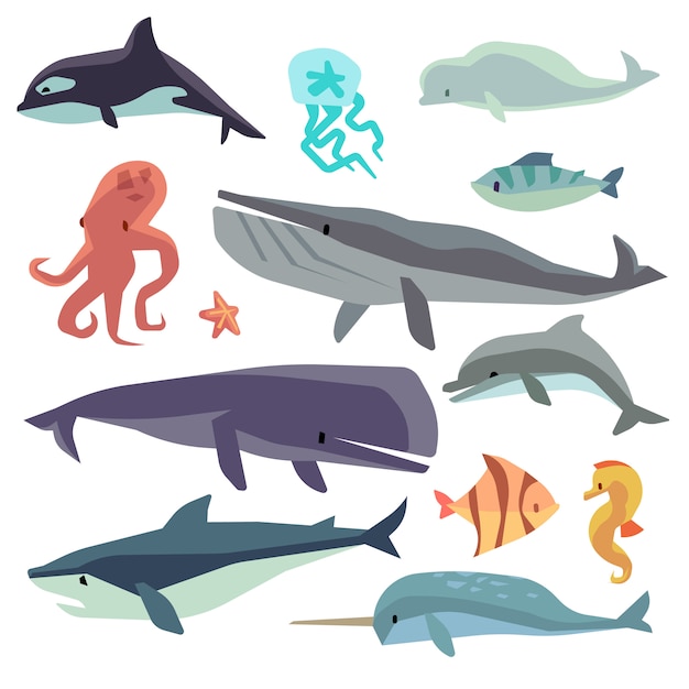 Sea marine fish and animals flat set. Dolphin and whale, shark and octopus, jellyfish and sea