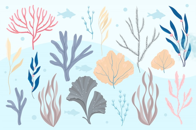 Sea plants and aquatic marine algae. Seaweed set vector illustration.