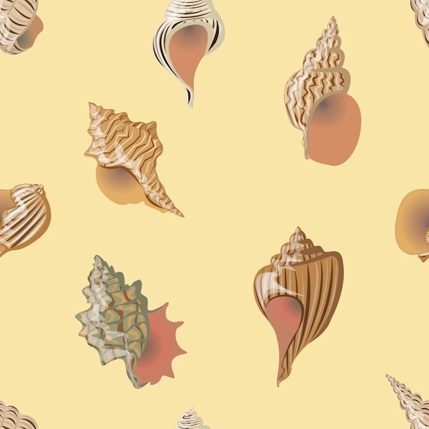 Sea and river cockleshells of different types and forms. Shells and shells of mollusks.