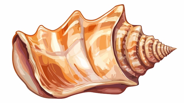 Vector sea shell clipart isolated vector illustration