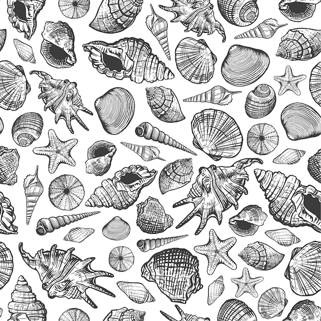 Sea shells seamless pattern. Realistic hand drawn marine background with nature ocean aquatic mollusk shell