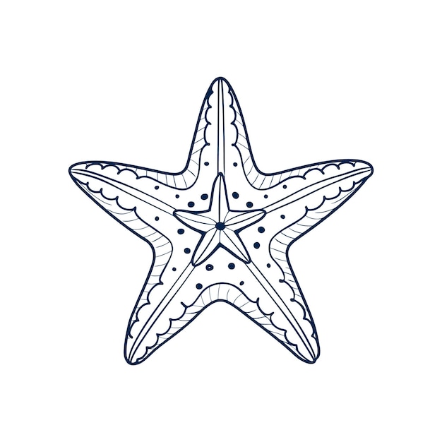 Sea starfish marine life line art