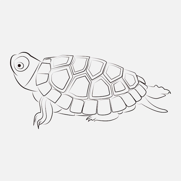 Sea Turtle Animal Line Art