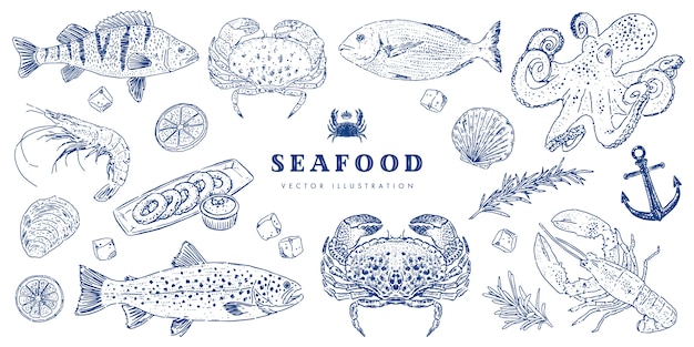 Seafood sketch set. Hand drawing cuisine