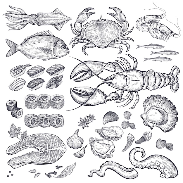 Seafood vector set