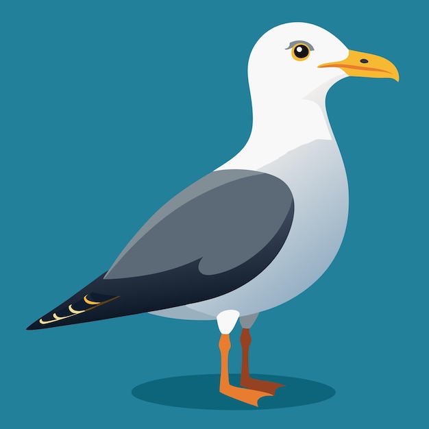 Vector seagull bird clip art vector illustration design