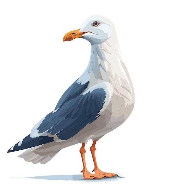 Seagull Cartoon Icon Isolated Transparent Background Images