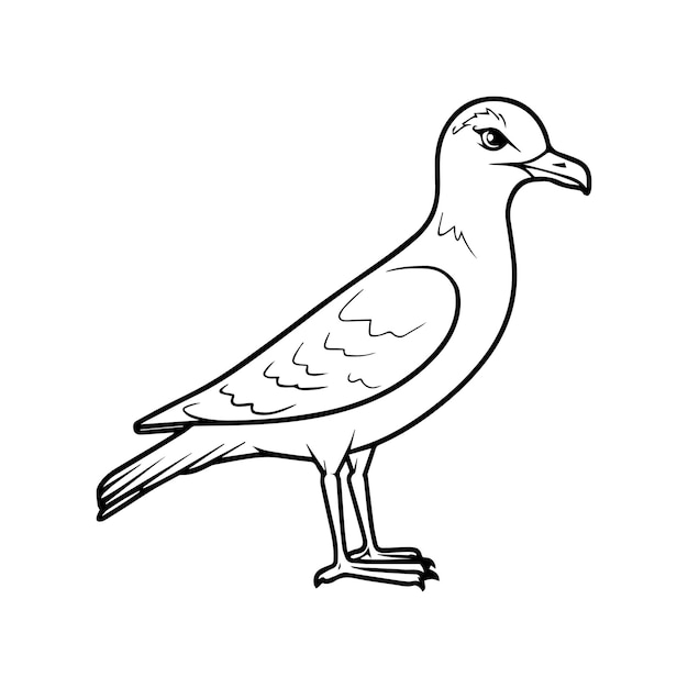 Seagull coloring pages Seagull bird outline vector for coloring book