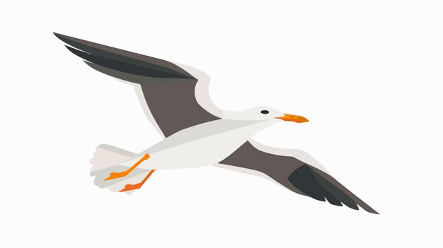 Vector seagull icon on white background flat vector illustration