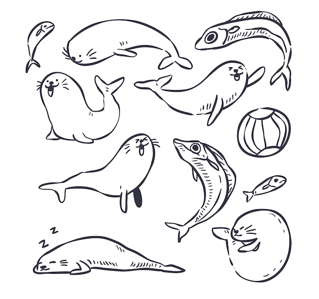 seal doodle