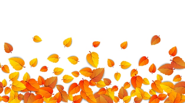 Seamless autumn leaves horizontal banner isolated on white background template golden leaf