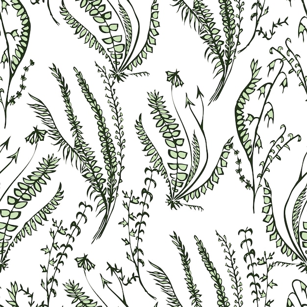 Seamless background of the herbal plants