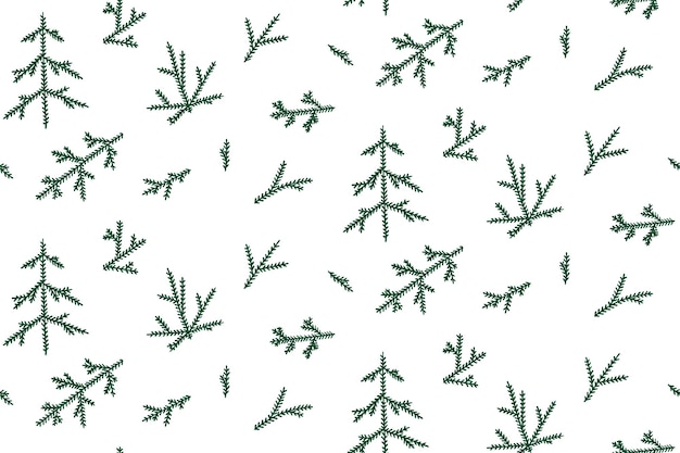 seamless background with fir branches on white Pattern. Wrapping paper for Christmas or new year